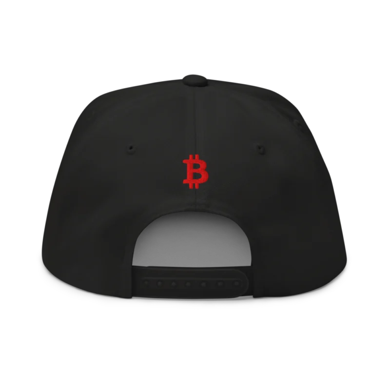 Need Bitcoin Snapback Hat