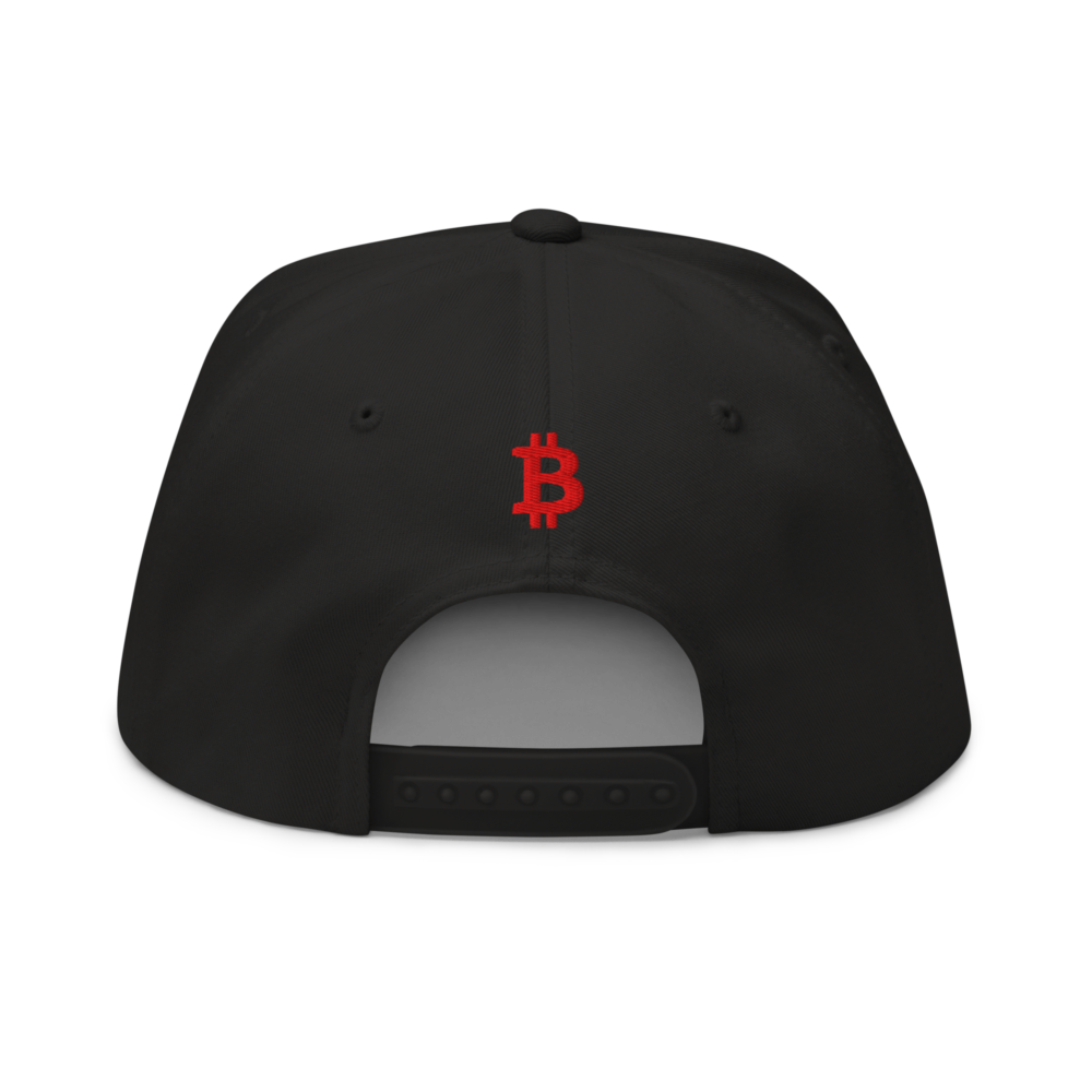 Need Bitcoin Snapback Hat