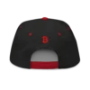 Need Bitcoin Snapback Hat