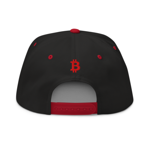 Need Bitcoin Snapback Hat