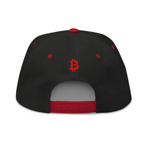Need Bitcoin Snapback Hat