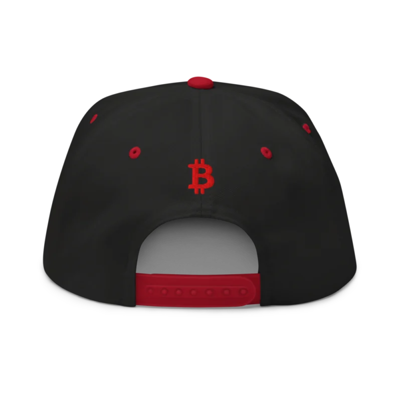 Need Bitcoin Snapback Hat