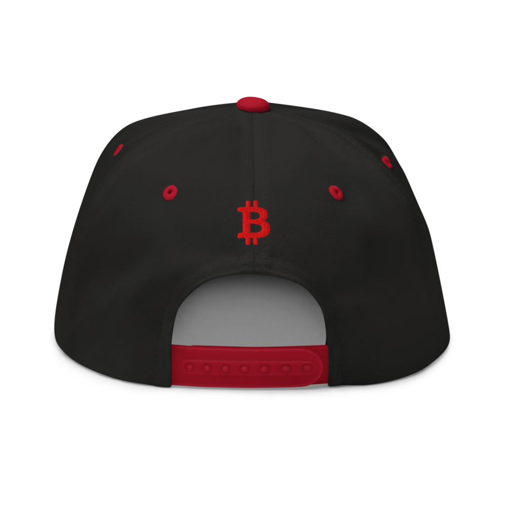 Need Bitcoin Snapback Hat