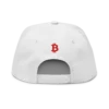 Need Bitcoin Snapback Hat