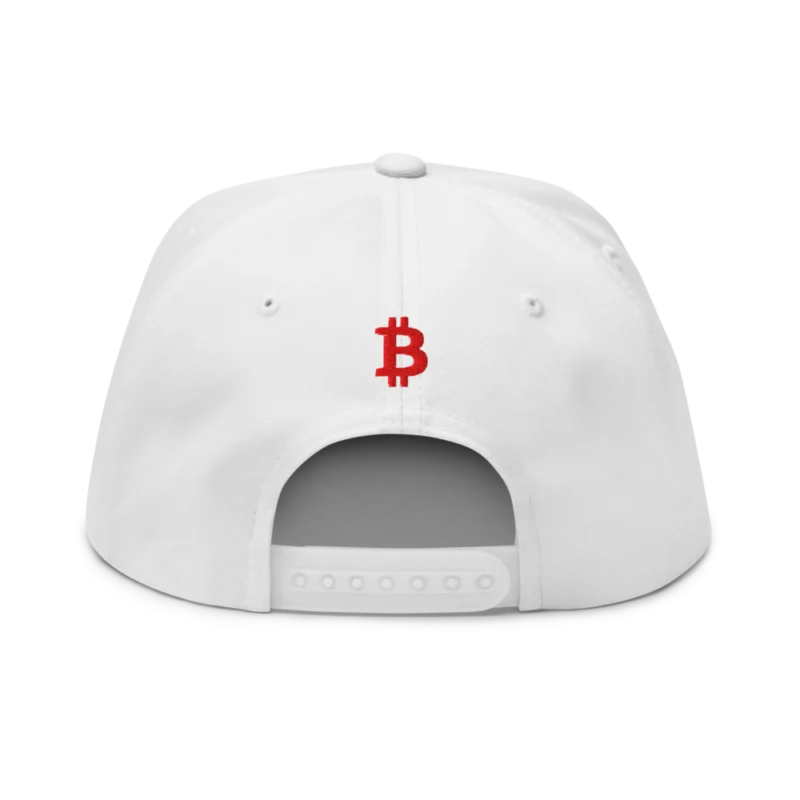 Need Bitcoin Snapback Hat