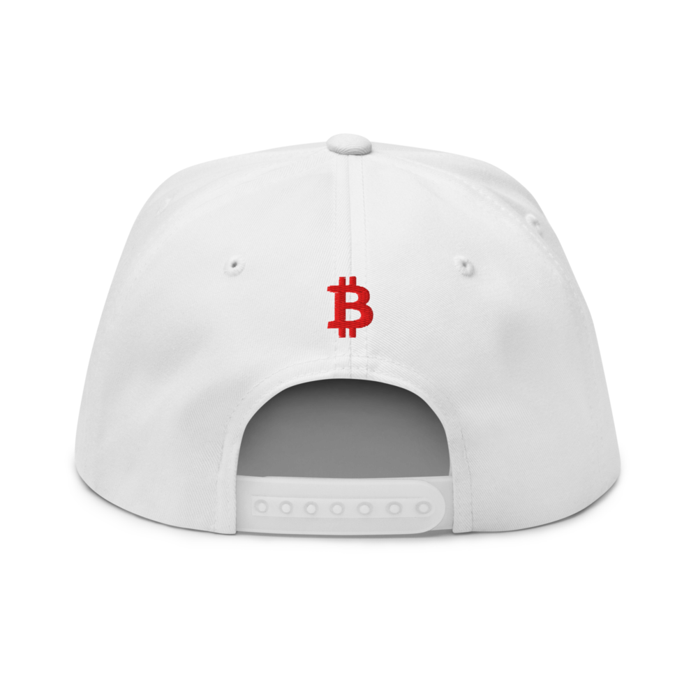 Need Bitcoin Snapback Hat
