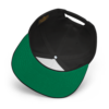100X Snapback Hat