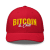 Bitcoin & Chill Trucker Cap
