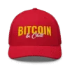 Bitcoin & Chill Trucker Cap