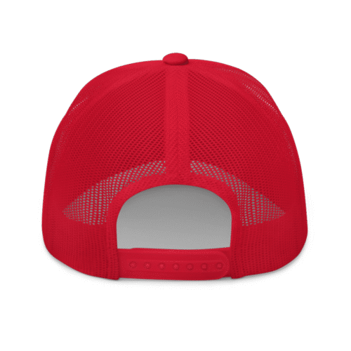 Bitcoin & Chill Trucker Cap