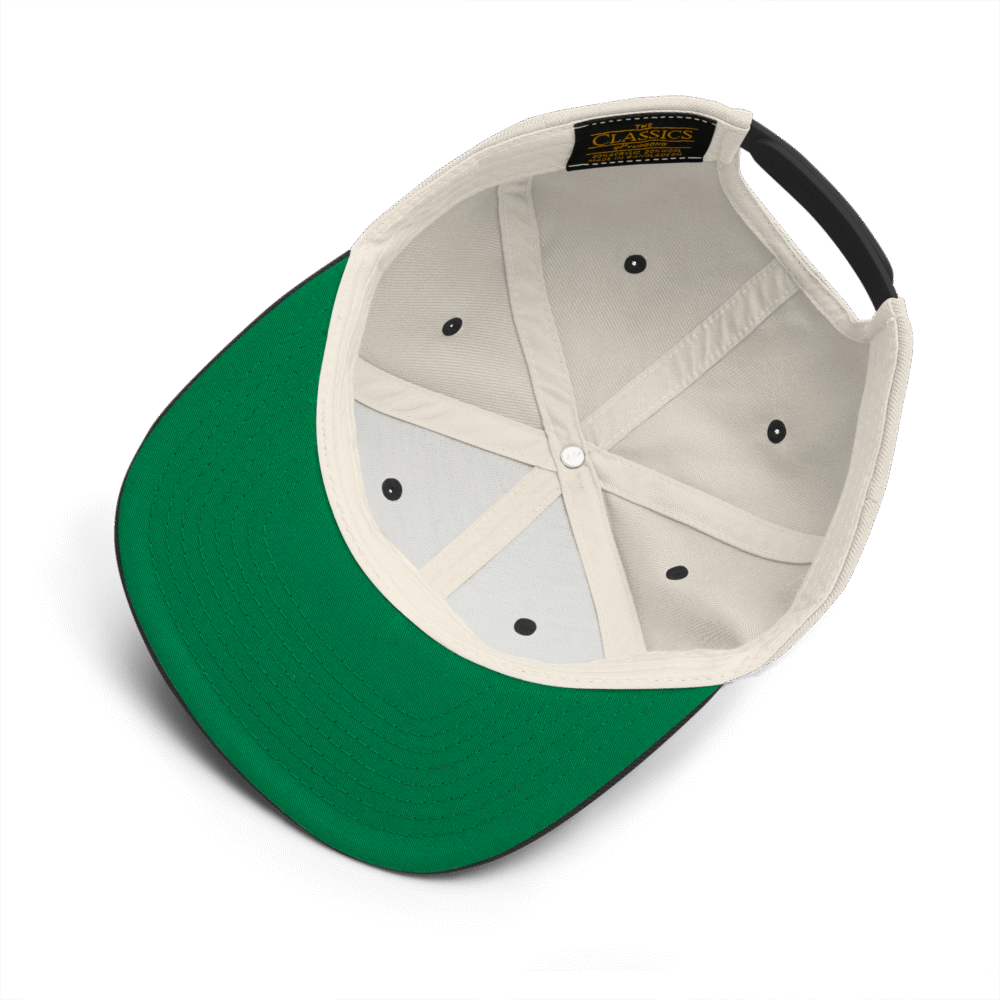 BitBaron Snapback Hat