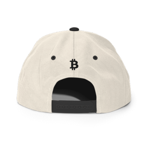 BitBaron Snapback Hat