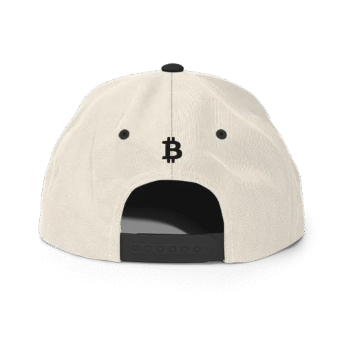 BitBaron Snapback Hat