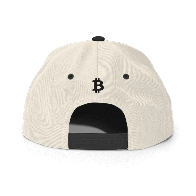 BitBaron Snapback Hat