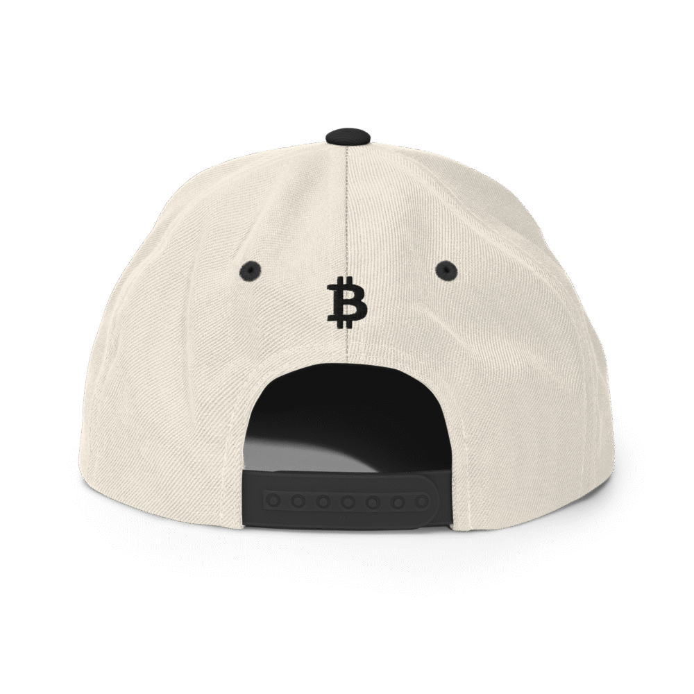 BitBaron Snapback Hat