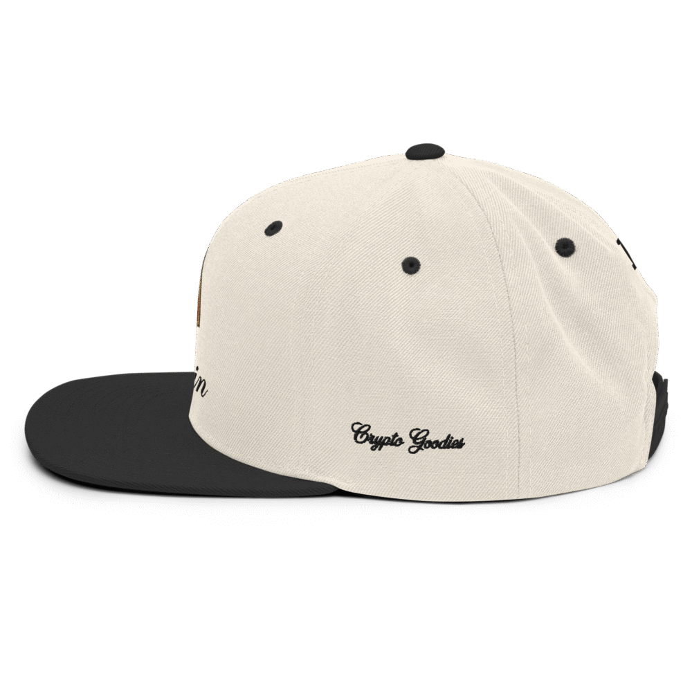 BitBaron Snapback Hat