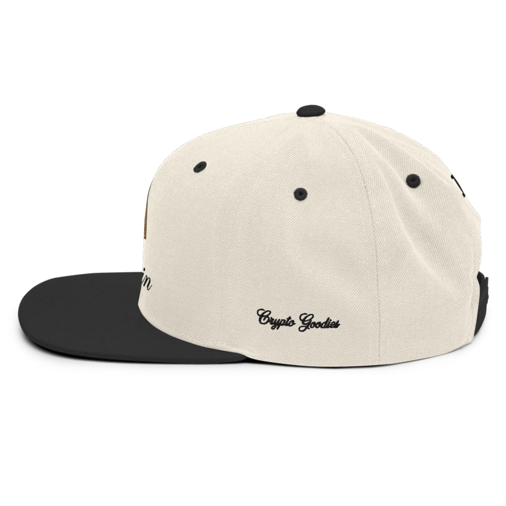 BitBaron Snapback Hat - Image 3