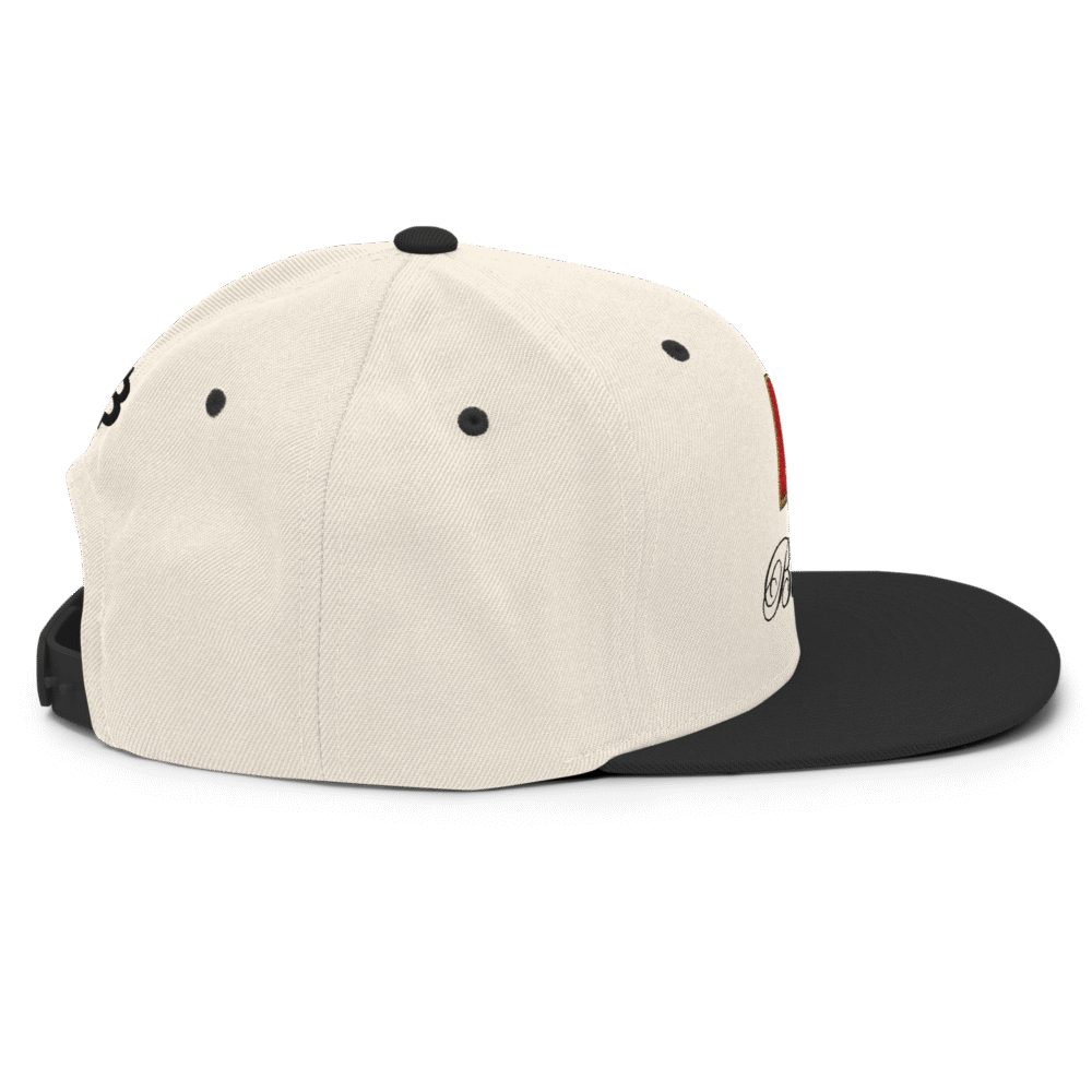 BitBaron Snapback Hat