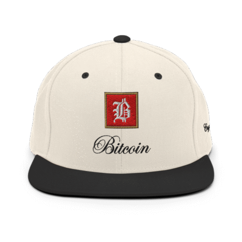 BitBaron Snapback Hat