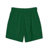 Bitcoin Bear Premium Swim Trunks