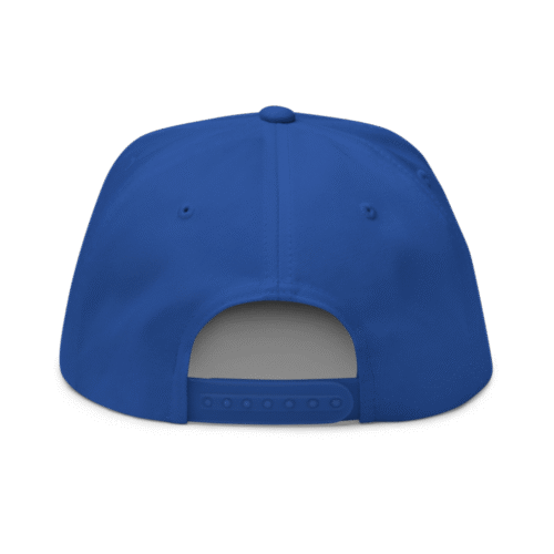 Chainlink Snapback Hat