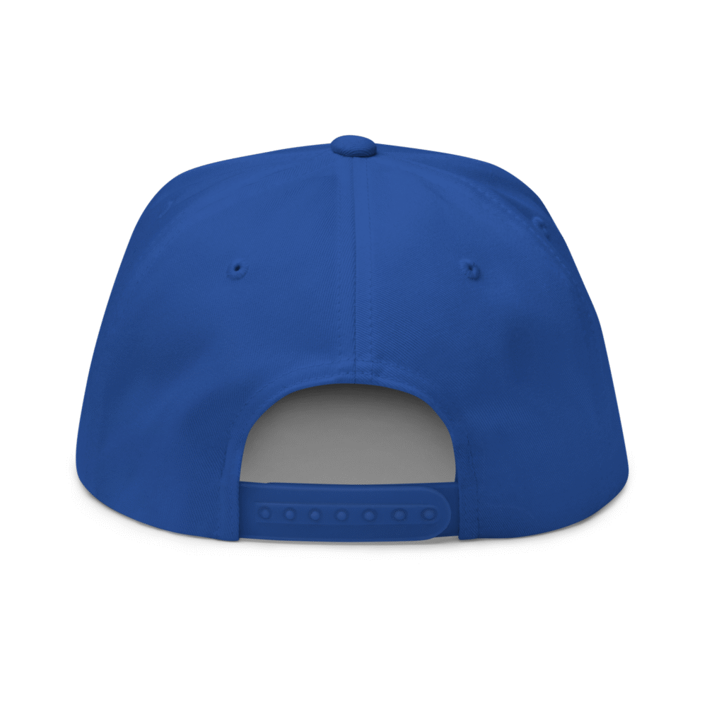 Chainlink Snapback Hat