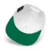SPX6900 Snapback Hat