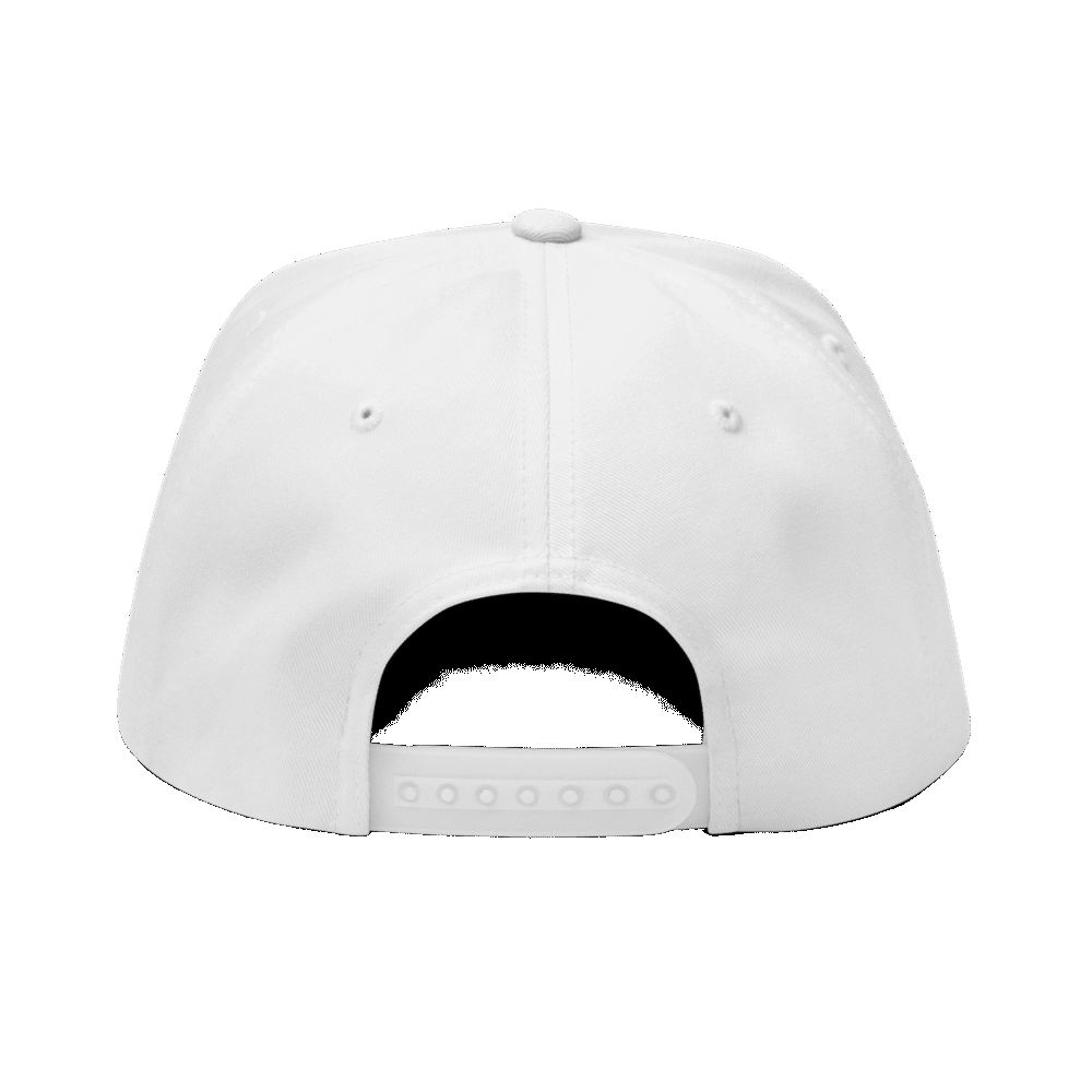 SPX6900 Snapback Hat