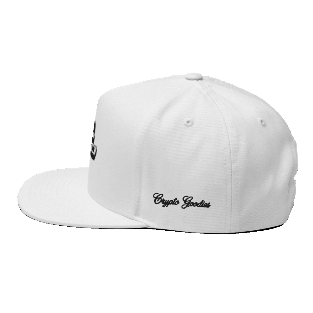 SPX6900 Snapback Hat