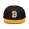 Bitcoin Sports Snapback Hat