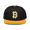 Bitcoin Sports Snapback Hat