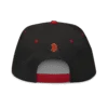 Bitcoin: World Champions Snapback Hat