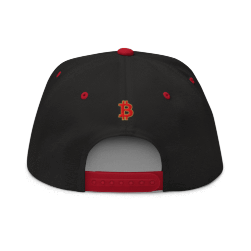 Bitcoin: World Champions Snapback Hat