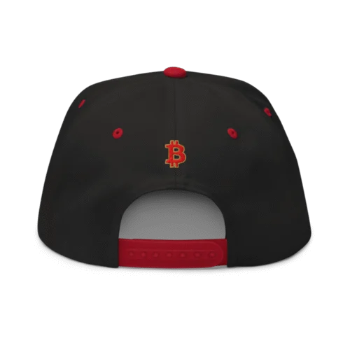 Bitcoin: World Champions Snapback Hat