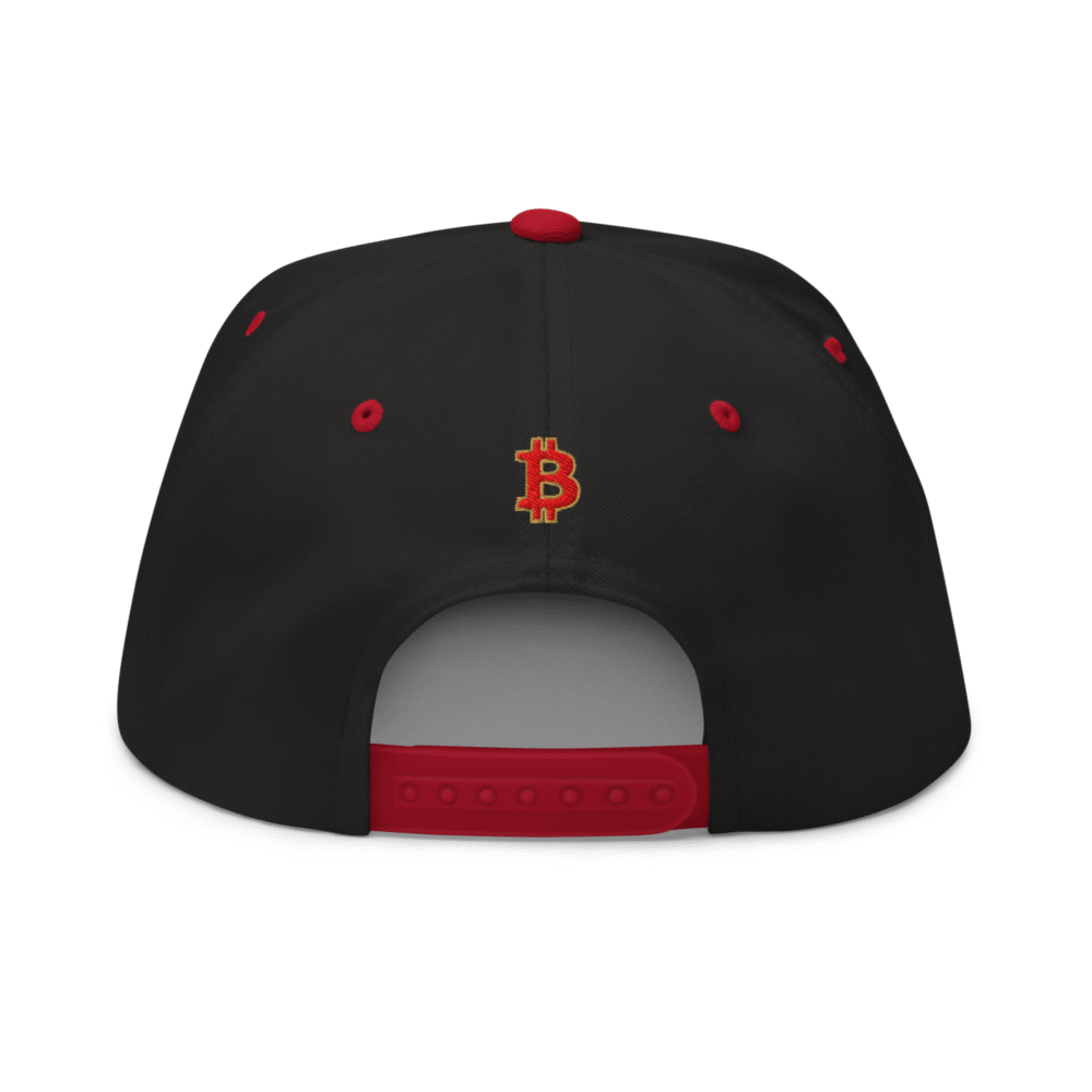 Bitcoin: World Champions Snapback Hat