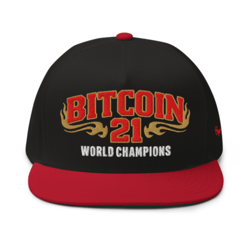 Bitcoin: World Champions Snapback Hat