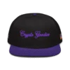 Crypto Goodies USA Snapback Hat