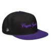 Crypto Goodies USA Snapback Hat