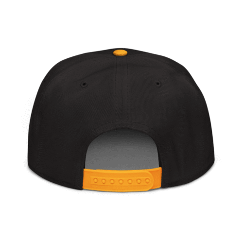 Crypto Hodler Snapback Hat