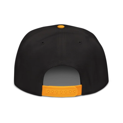 Crypto Hodler Snapback Hat