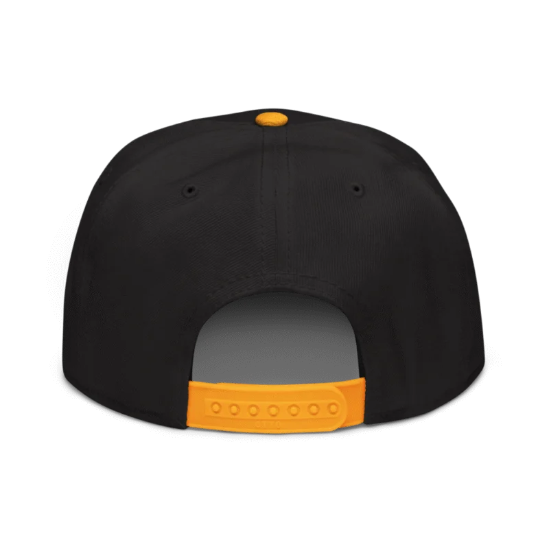 Crypto Hodler Snapback Hat