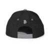 Satoshi Snapback Hat