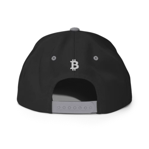 Satoshi Snapback Hat
