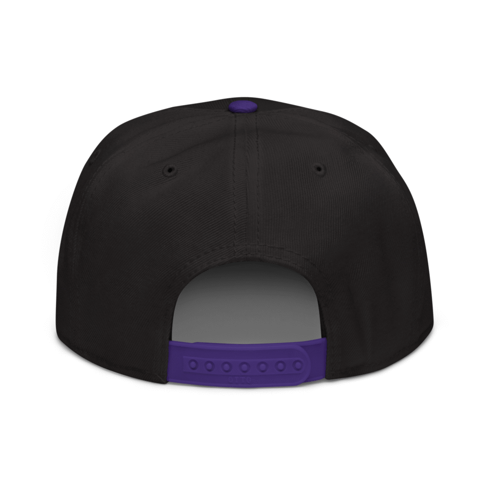 Crypto Goodies USA Snapback Hat - Image 4