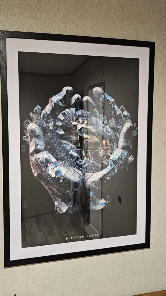Bitcoin: Diamond Hands Poster photo review