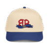 Bitcoin 2K9 5 panel cap