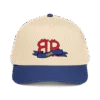 Bitcoin 2K9 5 panel cap
