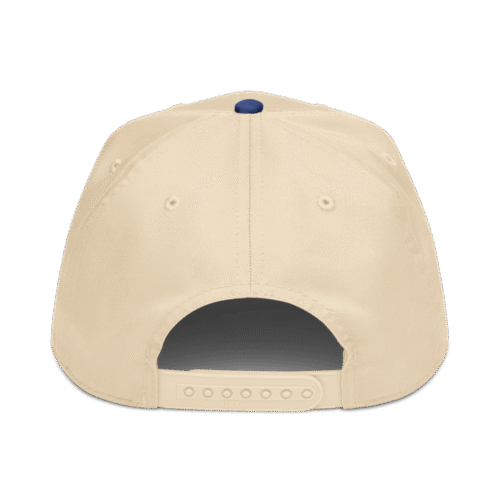Bitcoin 2K9 5 panel cap