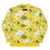 Bitcoin Aloha II Bomber
