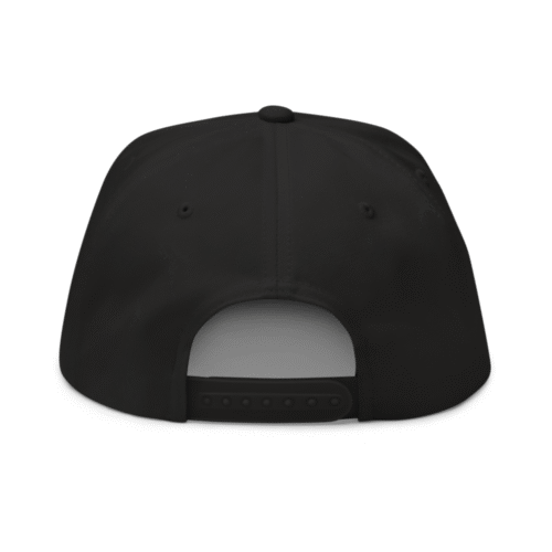 Love BTC Snapback Hat